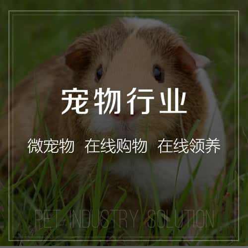 博尔塔拉蒙古宠物
