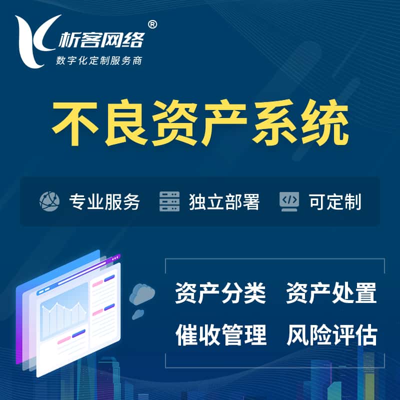 博尔塔拉蒙古不良资产管理系统
